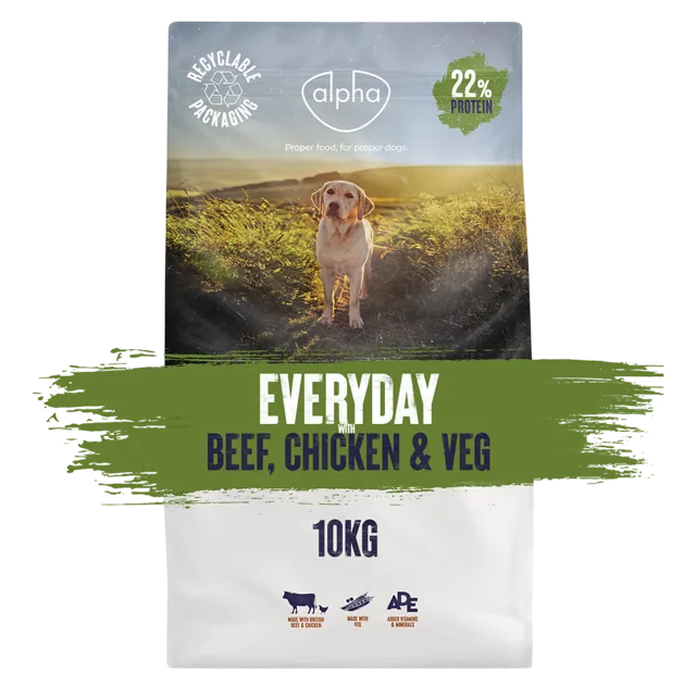 Alpha Everyday – —