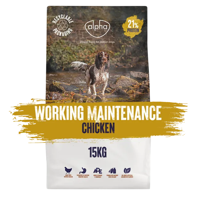 Alpha Working Maintenance – —
