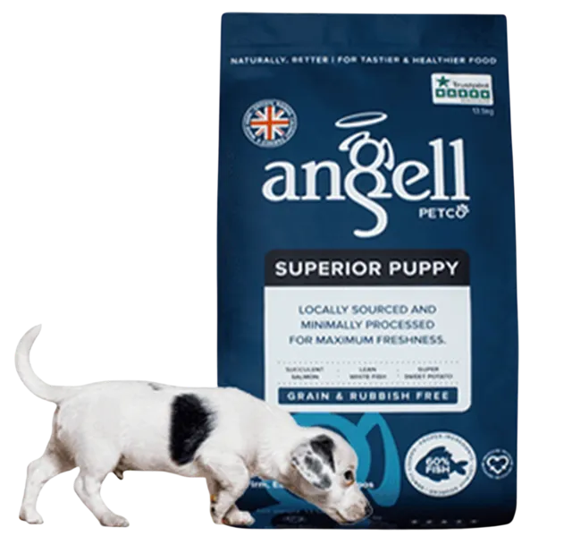 Angell Superior Puppy – —