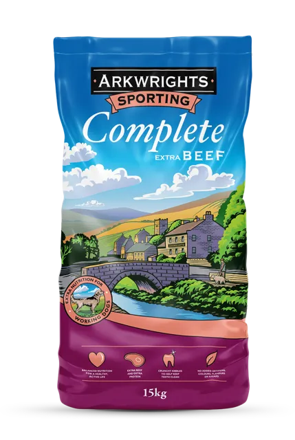Arkwrights Extra – —
