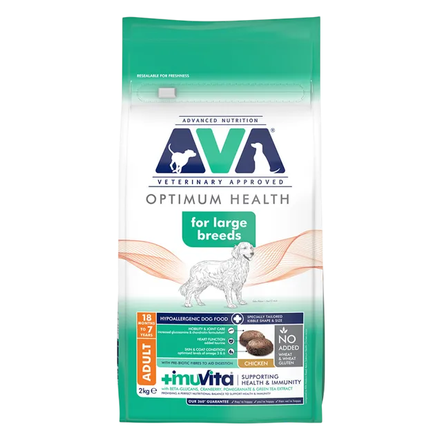 Ava Large Breed Adult – —