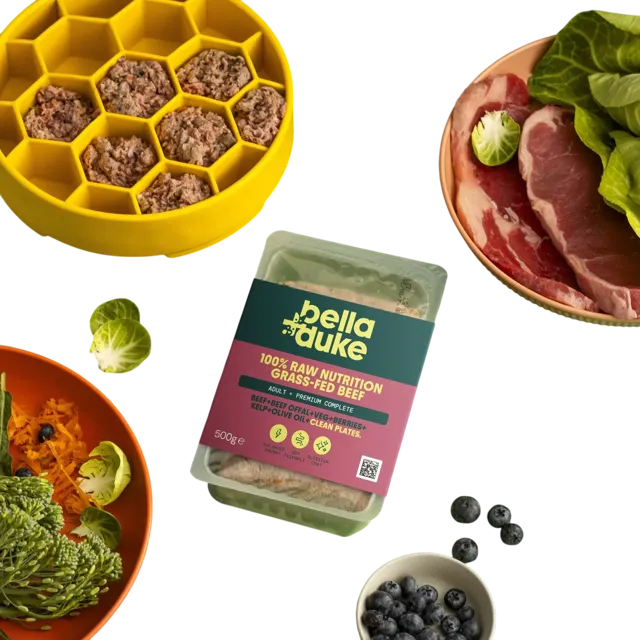 Bella + Duke Adult Complete | Premium – Grass-Fed Beef