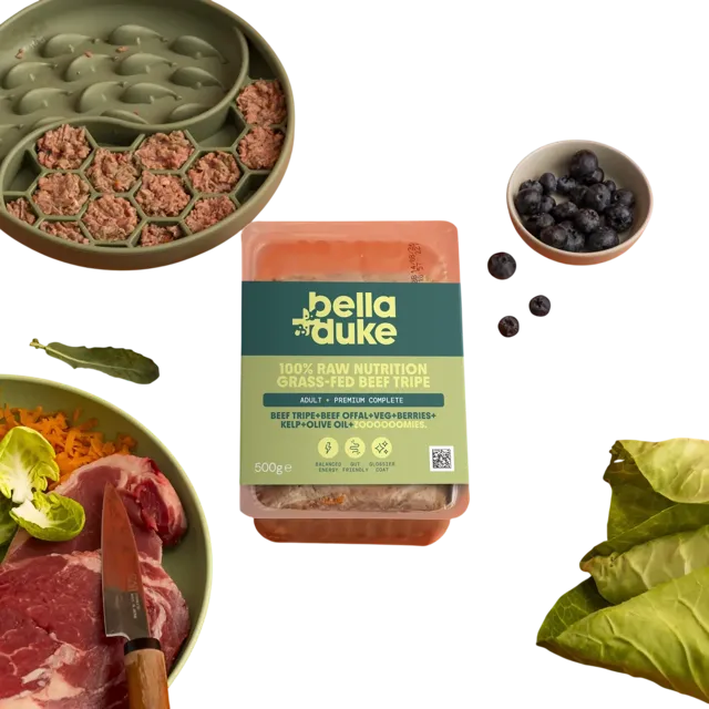 Bella + Duke Adult Complete | Premium – Grass-Fed Beef Tripe