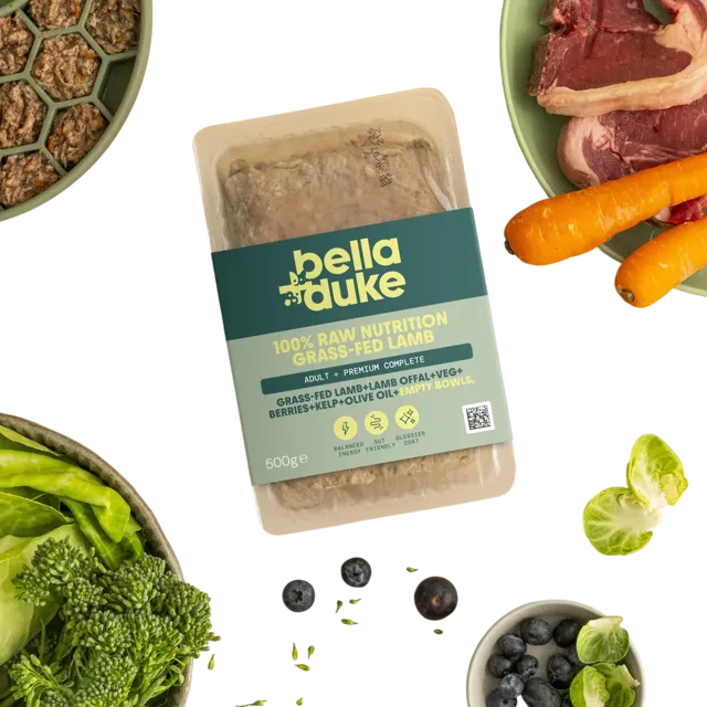 Bella + Duke Adult Complete | Premium – Grass-Fed Lamb