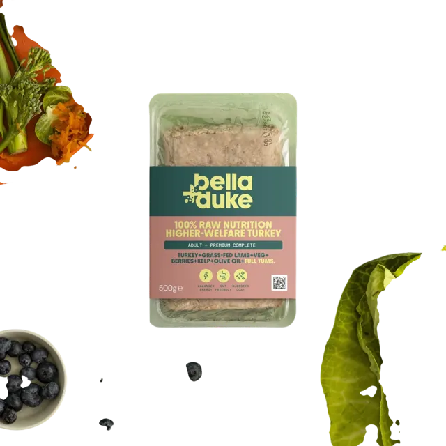 Bella + Duke Adult Complete | Premium – Higher-Welfare Turkey