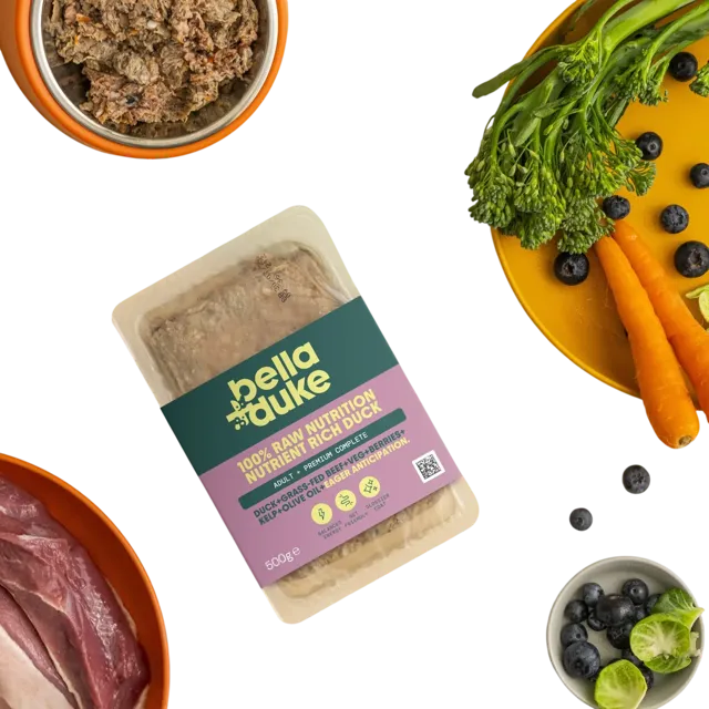 Bella + Duke Adult Complete | Premium – Nutrient Rich Duck