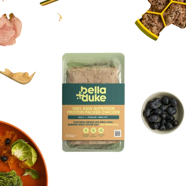 Bella + Duke Adult Complete | Premium – Protein Packed Chicken