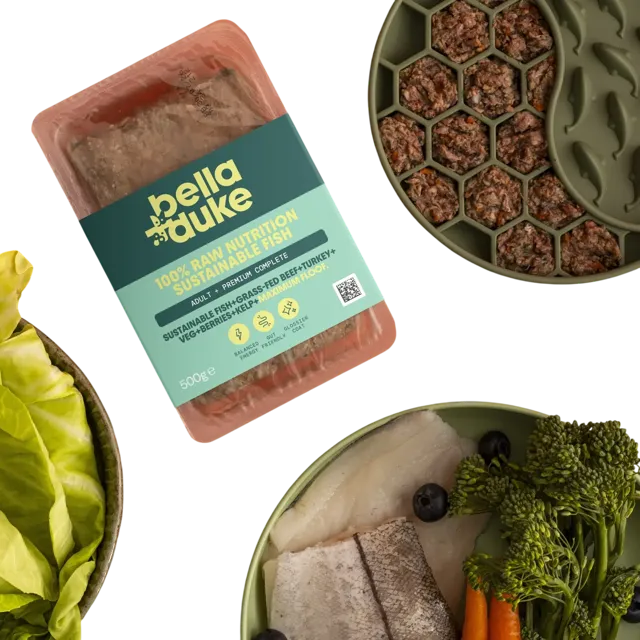 Bella + Duke Adult Complete | Premium – Sustainable Fish