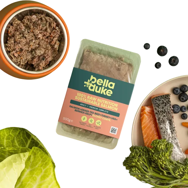 Bella + Duke Adult Complete | Premium – Sustainable Salmon