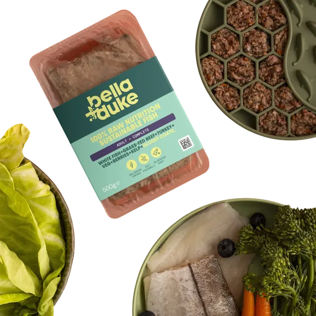 Bella + Duke Adult Complete | Working Dog – Sustainable Fish
