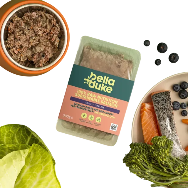 Bella + Duke Adult Complete | Working Dog – Sustainable Salmon