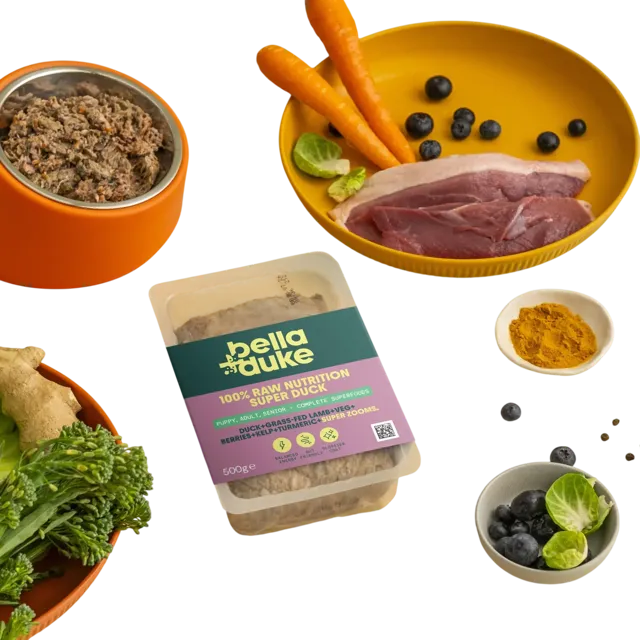 Bella + Duke Complete Superfoods – Super Duck