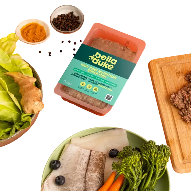 Bella + Duke Complete Superfoods – Super Fish