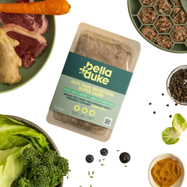Bella + Duke Complete Superfoods – Super Lamb