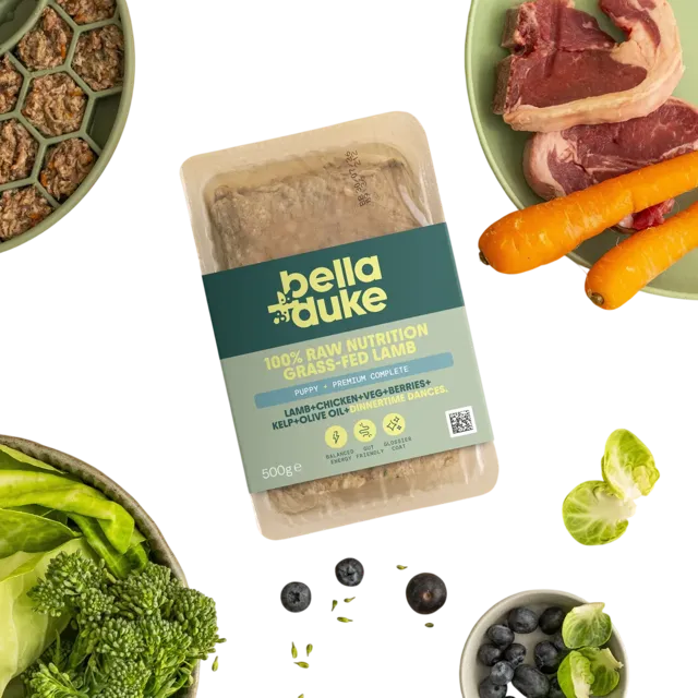 Bella + Duke Puppy Complete | Premium – Grass-Fed Lamb