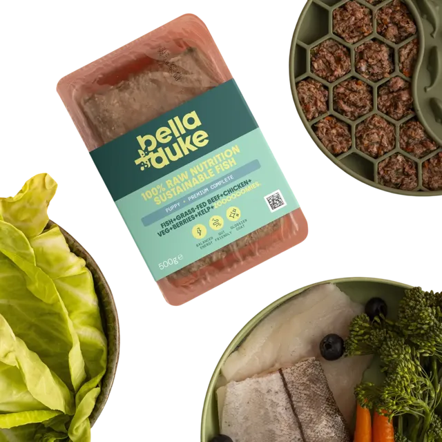 Bella + Duke Puppy Complete | Premium – Sustainable Fish