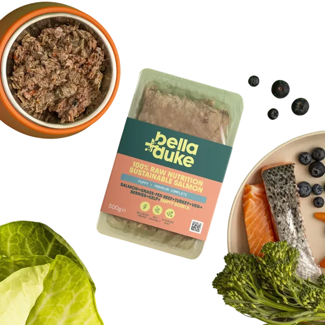 Bella + Duke Puppy Complete | Premium – Sustainable Salmon