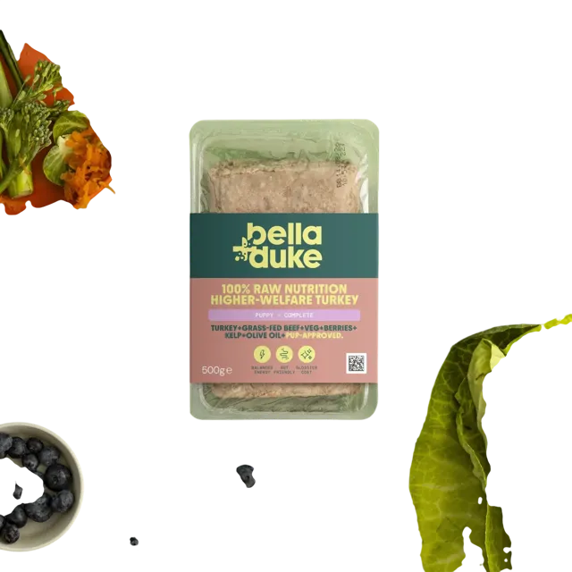 Bella + Duke Puppy Complete | Working Dog – Higher-Welfare Turkey