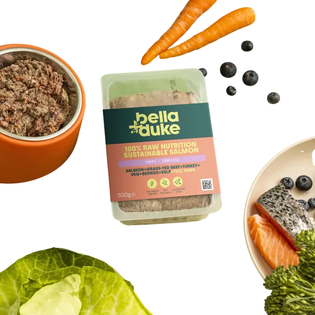 Bella + Duke Puppy Complete | Working Dog – Sustainable Salmon