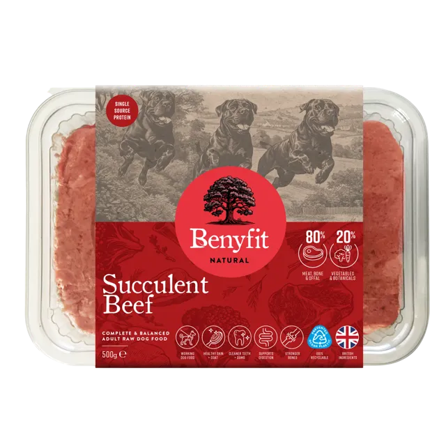 Benyfit Natural Adult – Succulent Beef