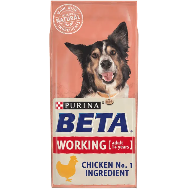 Beta Working – —