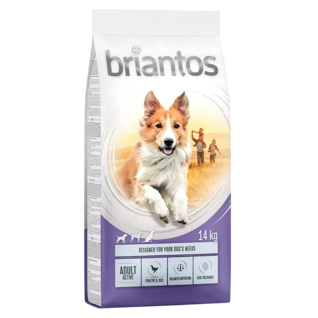 Briantos Adult Active – —