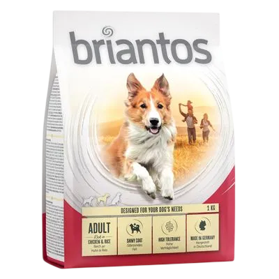 Briantos Adult – Chicken & Rice