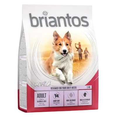 Briantos Adult – Salmon & Rice