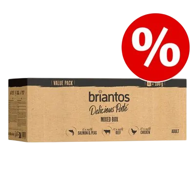 Briantos Delicious Paté – 44 x 100 g