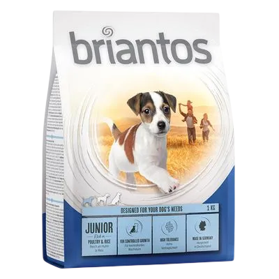 Briantos Junior – —