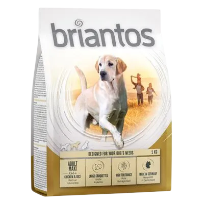 Briantos Maxi Adult – —