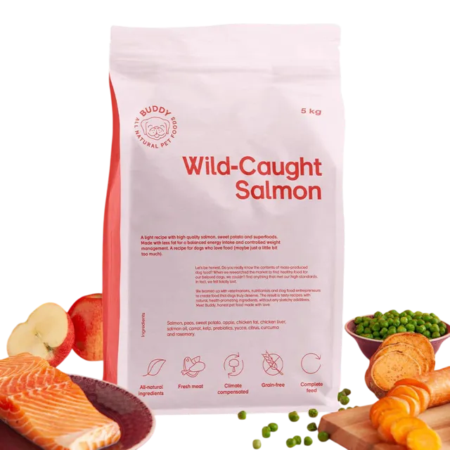 Buddy Salmon Light/Senior – —