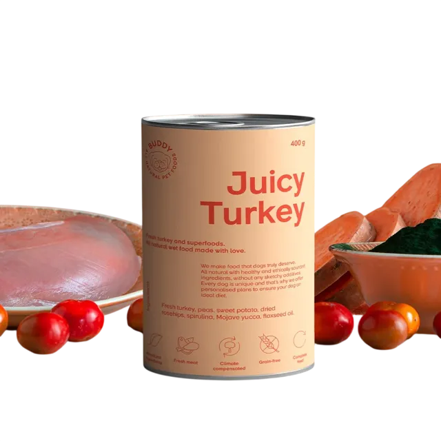 Buddy Wet Canned Pâté – Juicy Turkey