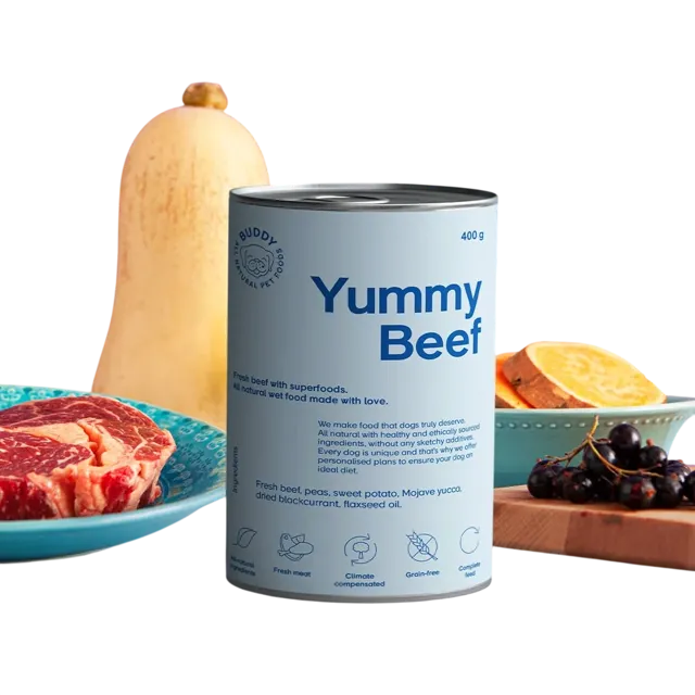 Buddy Wet Canned Pâté – Yummy Beef