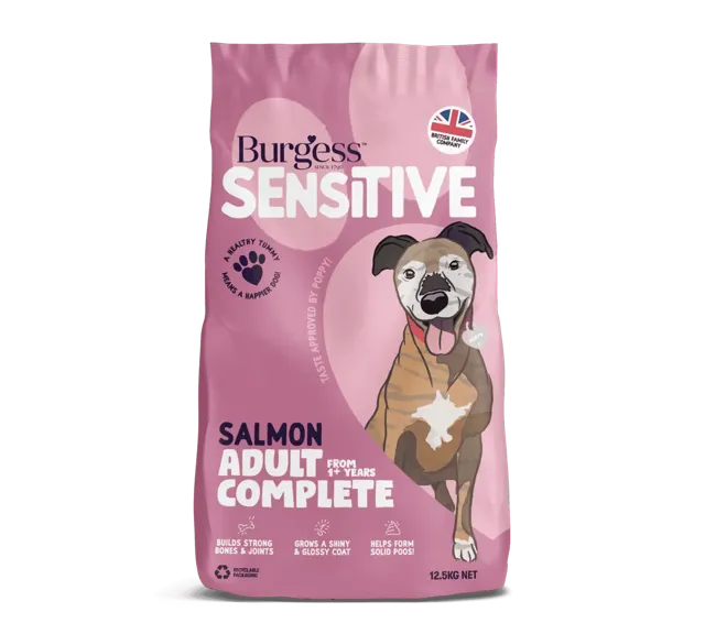 Burgess Sensitive Adult – Scottish Salmon & Rice