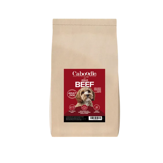 Caboodle Superfood Adult Dry Food – Angus Beef