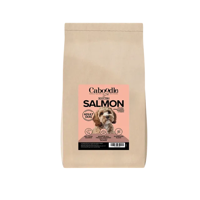 Caboodle Superfood Adult Dry Food – Scottish Salmon