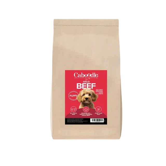 Caboodle Superfood Puppy Dry Food – Beef