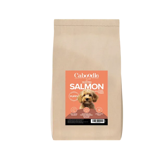 Caboodle Superfood Puppy Dry Food – Salmon