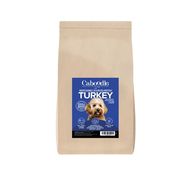 Caboodle Superfood Senior Light Dry Food – Free-Range Turkey (Small Breed)