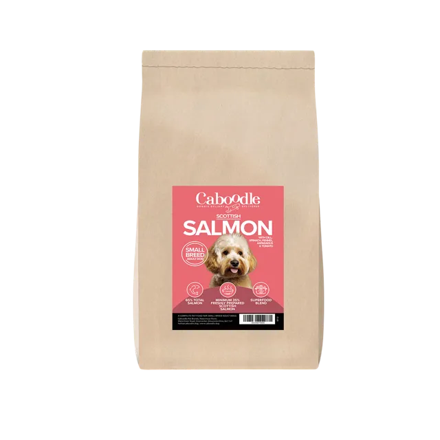 Caboodle Superfood Small Breed Dry Food – Scottish Salmon