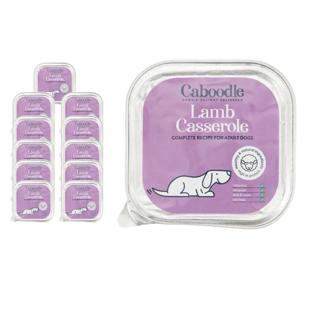 Caboodle Wet Food – Lamb Casserole