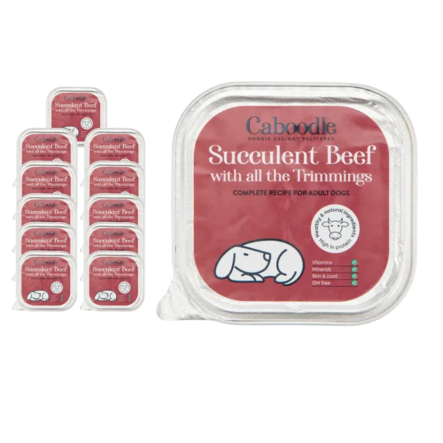 Caboodle Wet Food – Succulent Beef with all the Trimmings