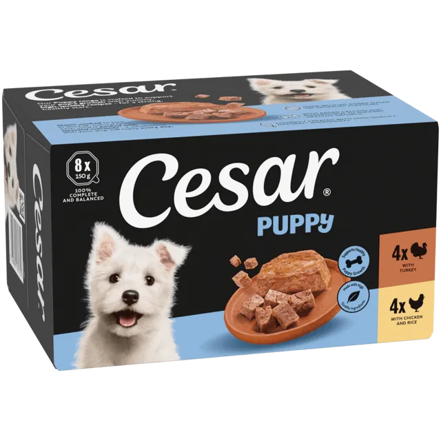 Cesar Classic Terrine Trays in Jelly – Junior Poultry in Jelly
