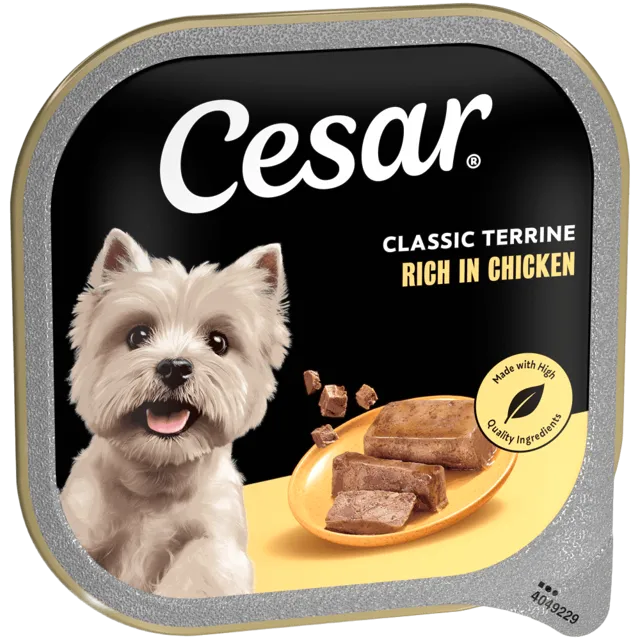 Cesar Classic Terrine Trays in Jelly – Rich in Chicken in Jelly
