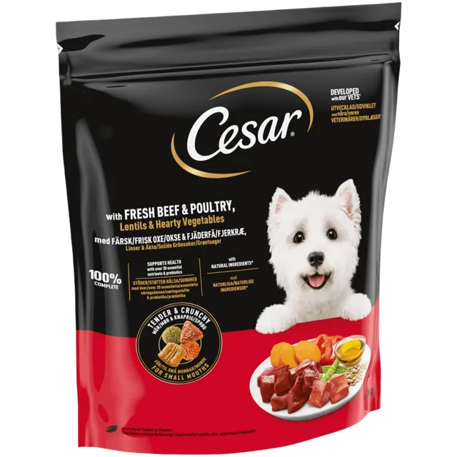 Cesar Complete Dry – With Beef, Poultry and Vegetables