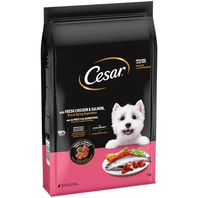 Cesar Complete Dry – With Chicken, Salmon and Vegetables