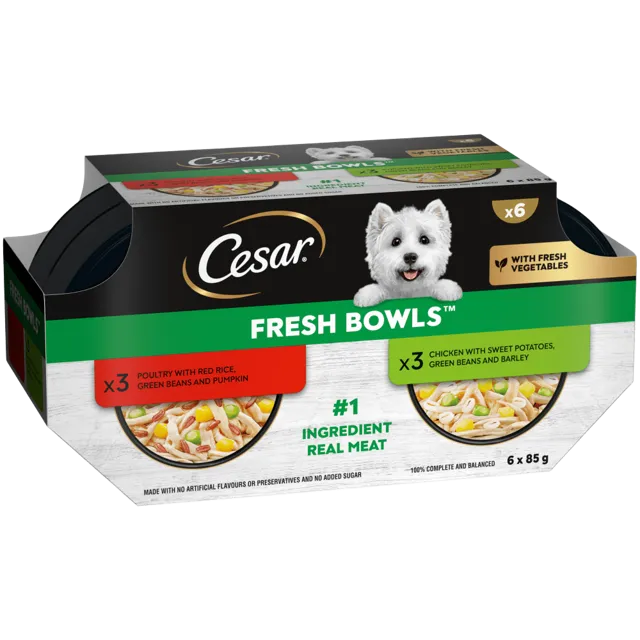 Cesar Fresh Bowl – Chicken & Poultry in Gravy