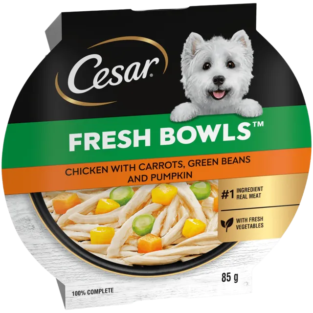 Cesar Fresh Bowl – Chicken in Gravy