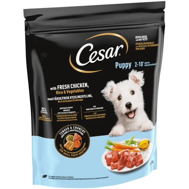 Cesar Junior Dry – —